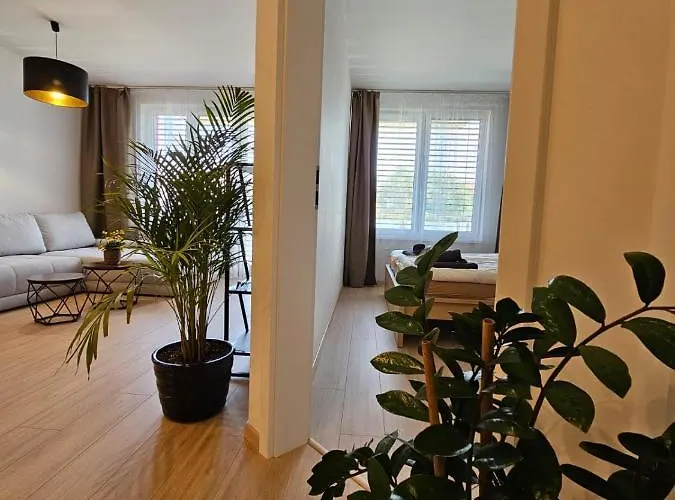 2 Apartment, New Building, Bosakova Street, 49 Apartament